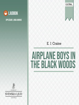 cover image of Airplane Boys in the Black Woods